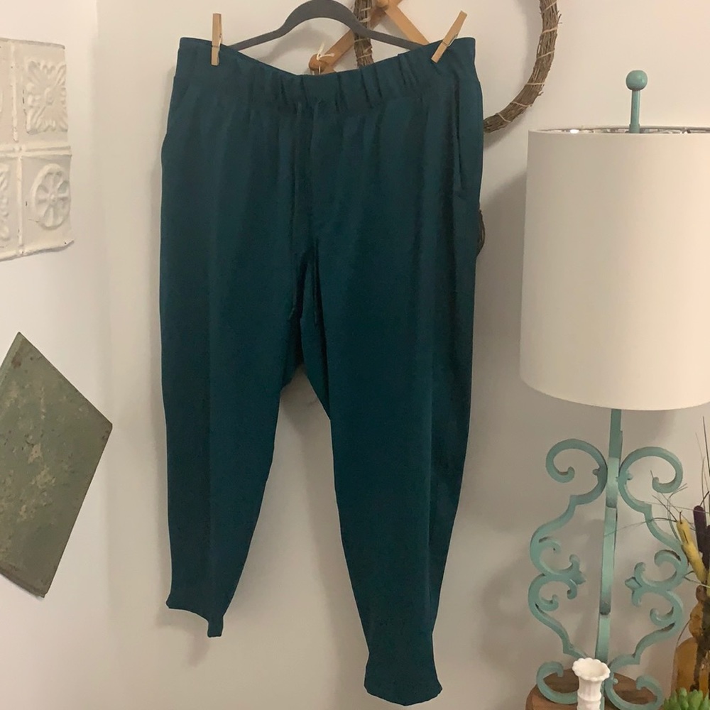 Livi workout pants has pockets size 18/20
